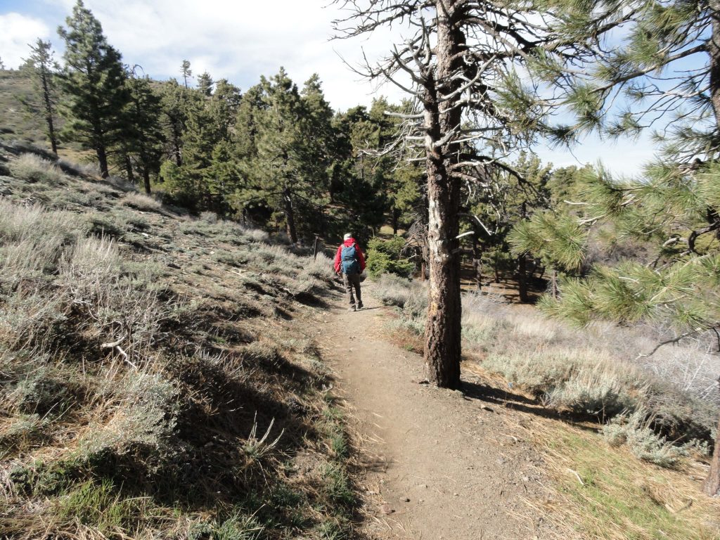 Lightning Ridge Nature Trail Wrightwood, CA Canyon Cartography