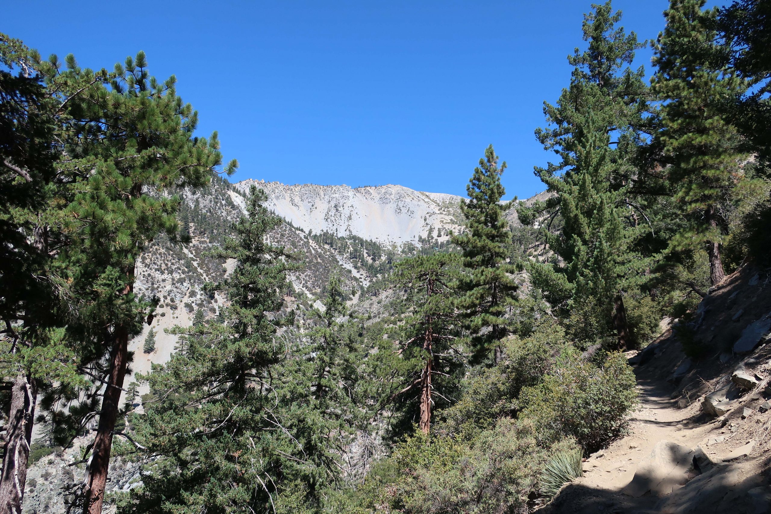 Hike Mount Baldy to Wrightwood – North Backbone Trail – Notes