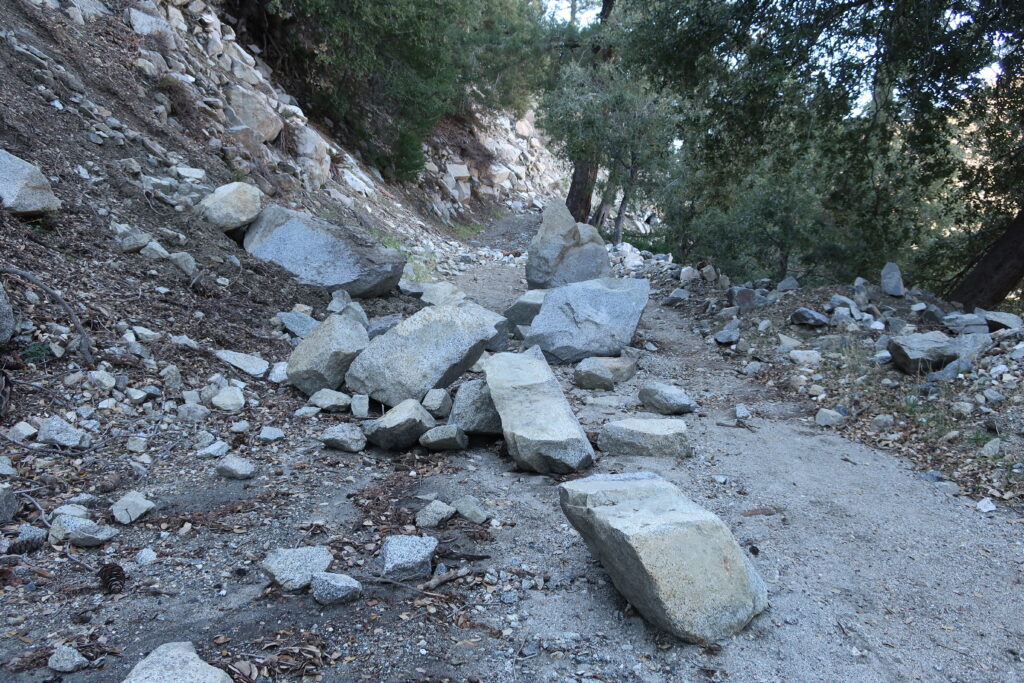 Boulders dot the old Toll Road along the slopes of Mt. Harvard.